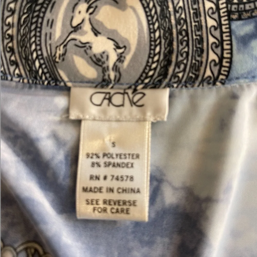 Cache-Stunning In Blue - Picture 4 of 5